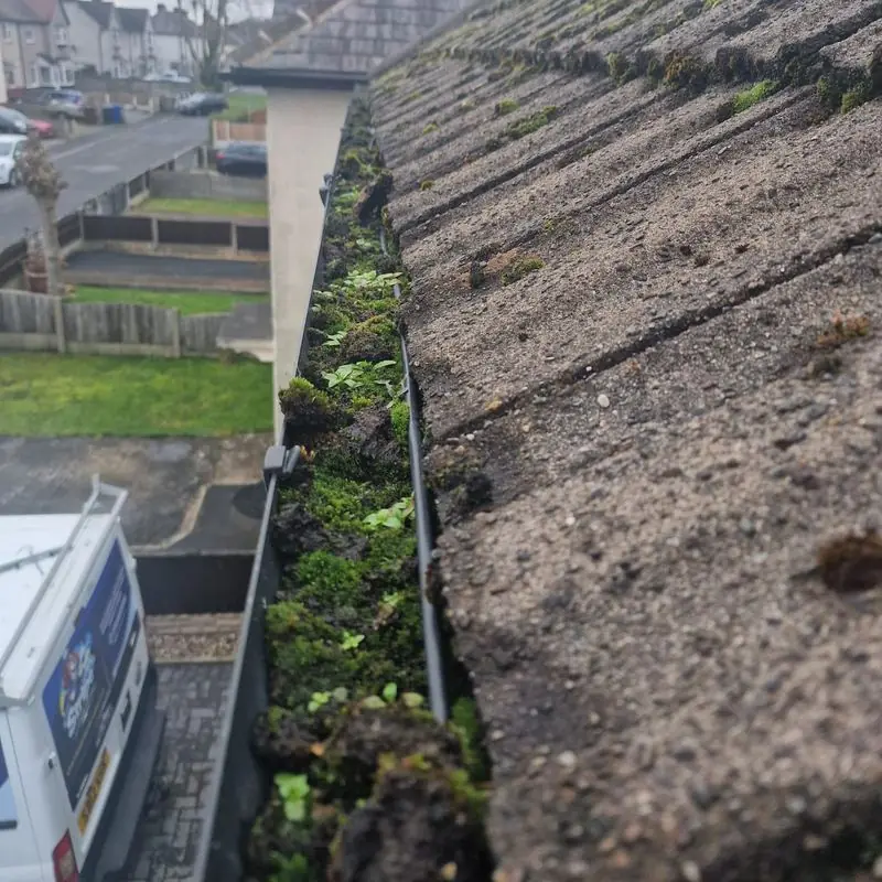 Before: Gutter clearing, moss-filled run, Golborne