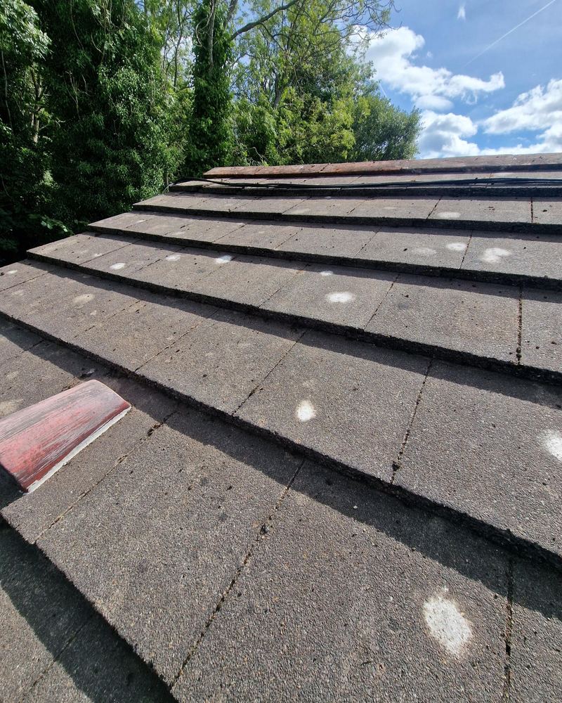 The same roof after the moss was scraped off, ready for the biocide treatment
